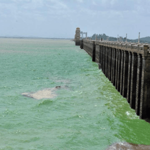 Tungabhadra River