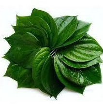 Betel