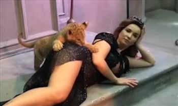Lion cub bites porn star bum during photo shoot
