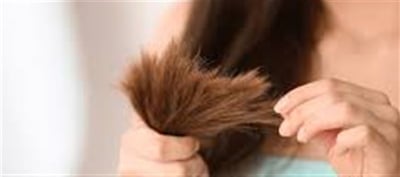 Top 5 Hair Oils For Split Ends Repair