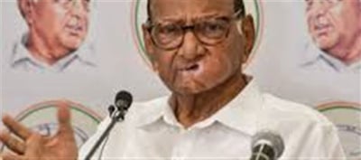 Will Sharad Pawar contest BMC elections separately?
