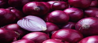 India's Onion Export Ban Continues Indefinitely.!!