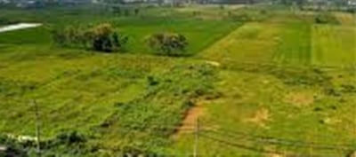 Delhi-NCR's New City: Landowners Promote Plots Online.