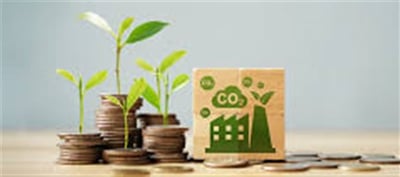 Electric Powered Fleets As Enablers Of Carbon Credit Score Monetisation