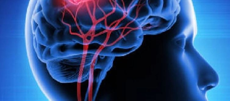 Can we gradually slow down the brain getting older and save