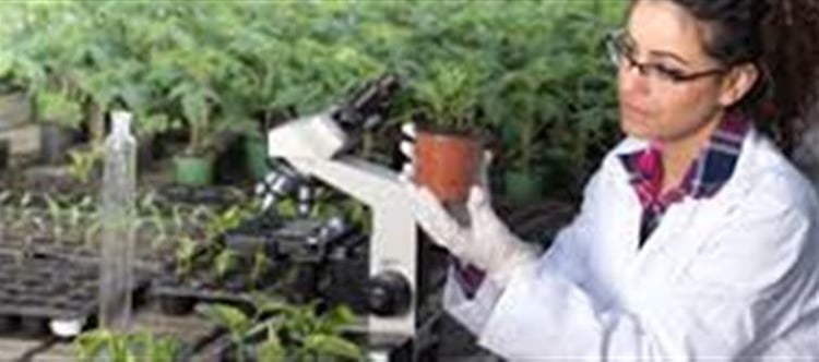Career Tips: Can Arts Students Become Agricultural Scientis