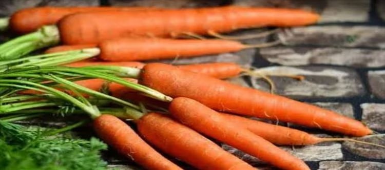 Eating too many carrots can cause this serious disease
