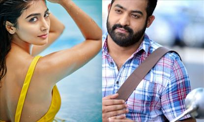 Pooja Hegde X Video Com - Junior NTR and Pooja Hedge gets everything on FAST mode