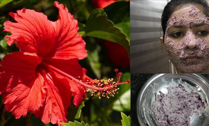 Beauty benefits with Hibiscus Flower 