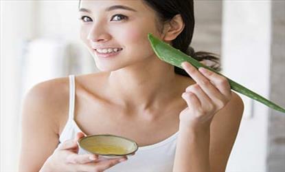 కలబందతో ఎన్నో ఉపయోగాలు..!