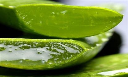 Dazzling benefits of using Aloe Vera for glowing skin