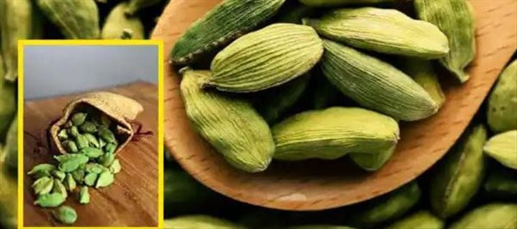 యాలకులతో ఇలా చేస్తే చాలా అందంగా మారవచ్చు!