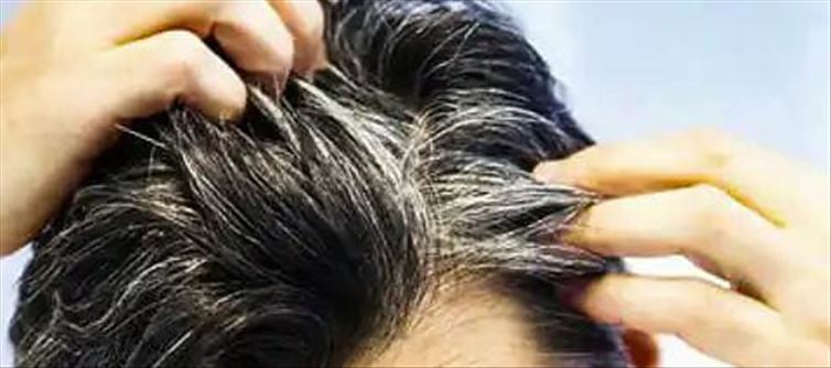 తెల్ల జుట్టు ఈజీగా నల్లగా మారే ట్రిక్?