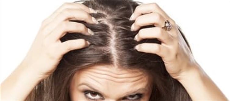 తలలో మొటిమలు బాదిస్తున్నాయా? అయితే ఇలా చెయ్యండి..