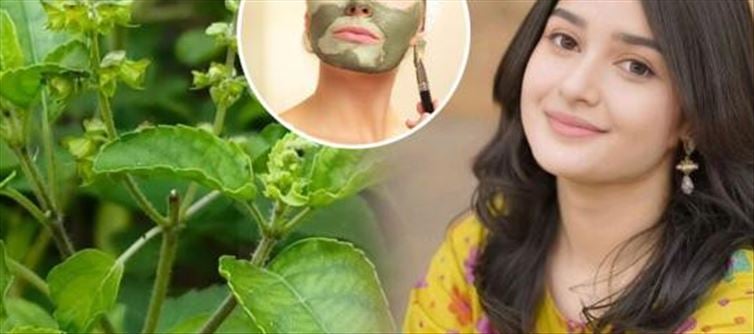 DIY Tulsi Face Percent And Scrub Recipes For Brighter, Healthier Skin