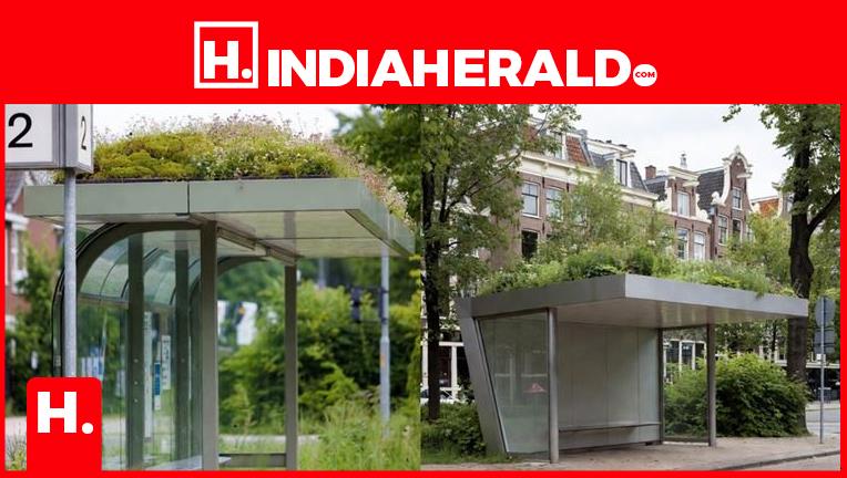 A Bus Stop That Fights Climate Change? One City Just Proved It Works