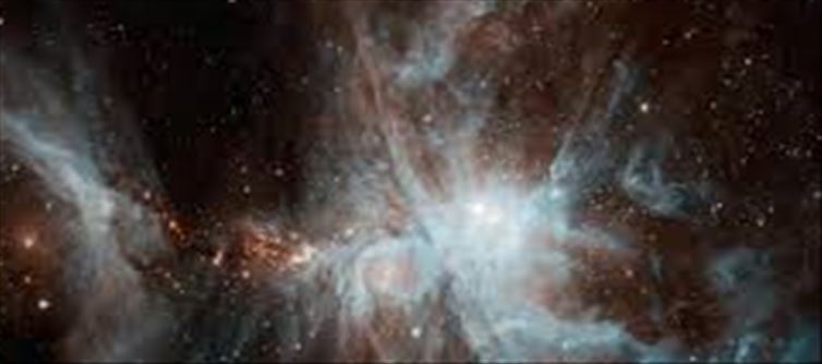 A sudden scream from the sky..!? Researchers were shocked!