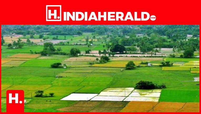 After the Government, Who Really Owns India’s Land?