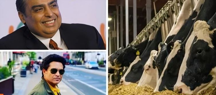 Ambani, Sachin, Big B, Hrithik Drink Milk From This Dairy - Price Per Liter Is...