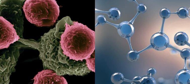 Ayurvedic Medicine that Kills Cancer Cells Without Chemotherapy