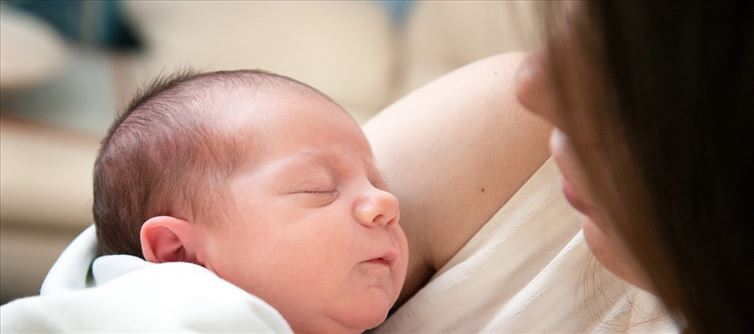 Birth rates continue to plummet - Population Collapse is Coming