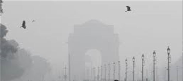 Delhi is experiencing severe cold along with dense fog
