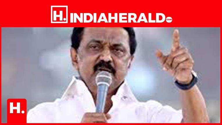 DMK to Contest 164 Constituencies in Tamil Nadu Elections