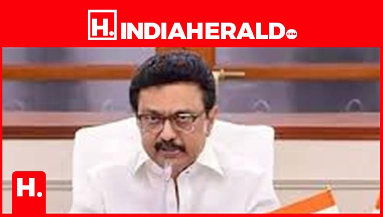 DMK Will Form Government in Tamil Nadu for the Seventh Time: CM M.K. Stalin Asserts at Booth Committee Training Conference