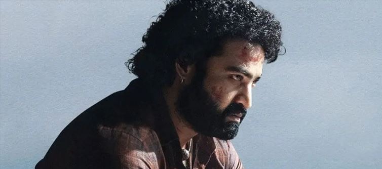2025లో ఆ రికార్డును అందుకోనున్న యంగ్ టైగర్ ఎన్టీఆర్.. దబిడి దిబిడే!