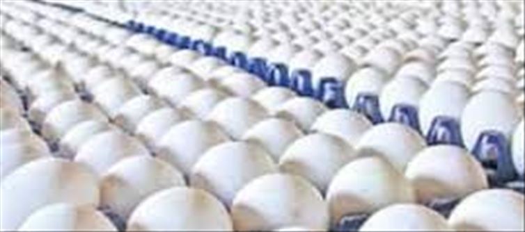 Egg prices have reached a peak...!? Traders are worried..!?