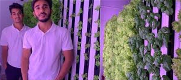 Engineer Friends Launch AI-Driven Hydroponic System for Growing Exotic Plants,
