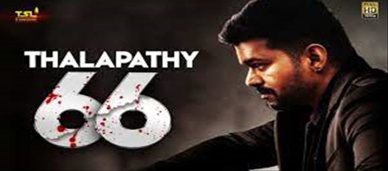 Fantastic.. Who is Vijay's partner in Telugu Thalapathy 66?