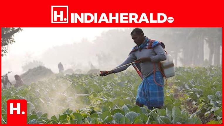 India–US Trade Pact — Who Wins and Who Loses in the India–US Deal