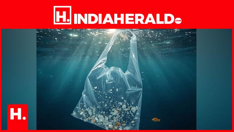 Japan Just Ended Plastic Bags — A Bag That Fish Can Swallow & Live