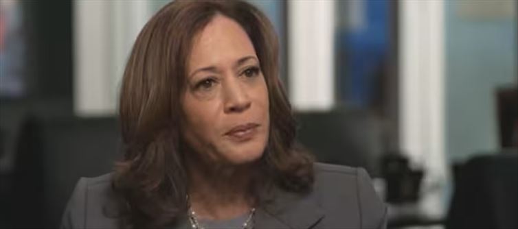Kamala Harris claps back after Trump's racial attack