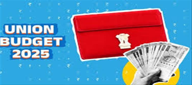 Key Expectations for Salaried Middle Class from Budget 2025..!?