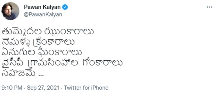 వైసీపీ గ్రామసింహాల గోంకారాలు సహజమే: పవన్‌