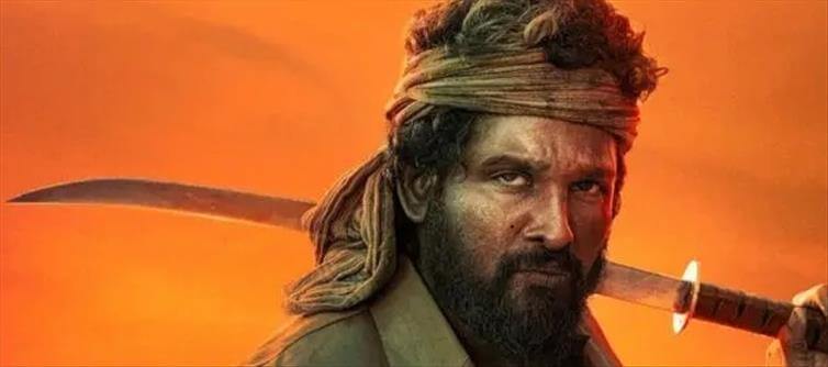 ఎక్కడ చూసినా పుష్పరాజ్ ఫీవర్.. బాక్సాఫీస్ రికార్డులు బ్రేక్ కావడం ఖాయమా?
