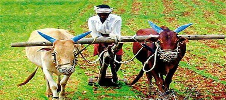 కేసీఆర్‌ రైతు బంధు నిధులు.. మీ ఖాతాలో పడ్డాయా?