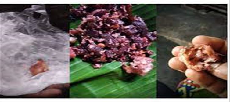 Rat head in beetroot Fry bought from a Famous Vegetarian Hotel..!?