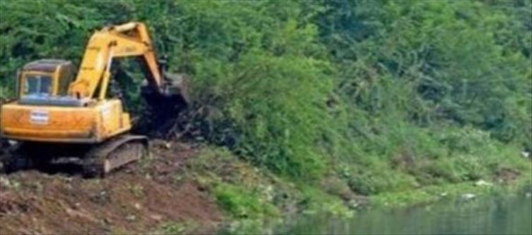 Seema Karuvella Trees should be removed - HC warns TN Govt