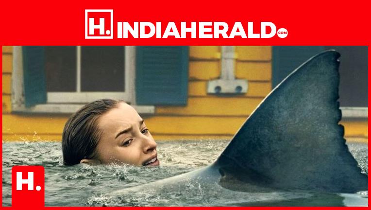 So Bad It’s Brilliant? Netflix’s #1 Shark Movie Goes Full M