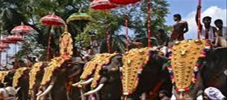 Strict restrictions on the use of elephants in temple festivals..!?