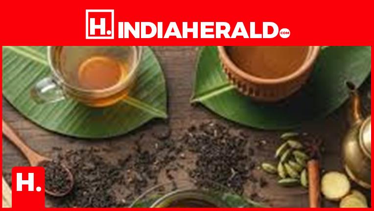 Herald Tea Tea Traditions of India: Darjeeling vs Assam vs Nilgiri