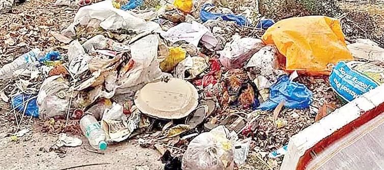 Telangana Hyderabad - Locals raise a stink over shrinking RK Puram lake