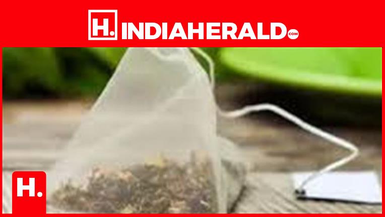 “Think Twice Before Throwing Away The Used Green Tea Bags: