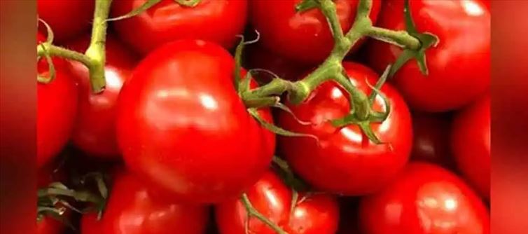 Tomato prices skyrocket in Hyderabad