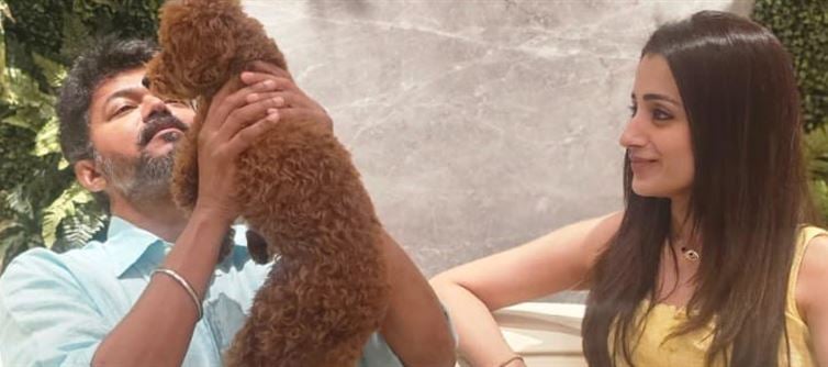 Trisha Lets The Cat Out Of The Bag? Fueling Relationship Rumours With Actor Vijay
