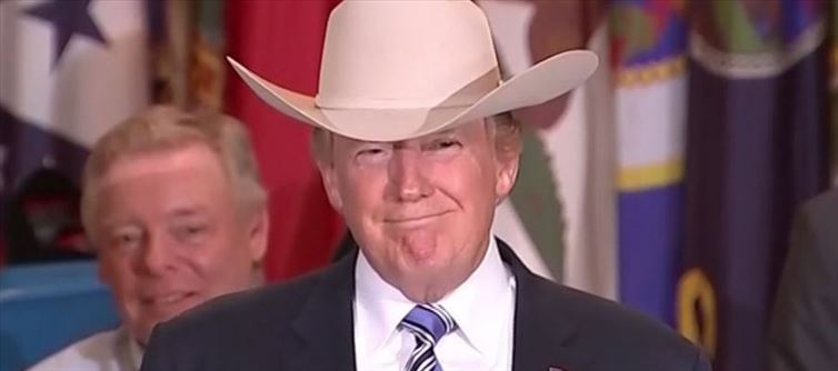 Trump plans to declare 'NATIONAL EMERGENCY' in USA remove 'ILLEGAL IMMIGRANTS'