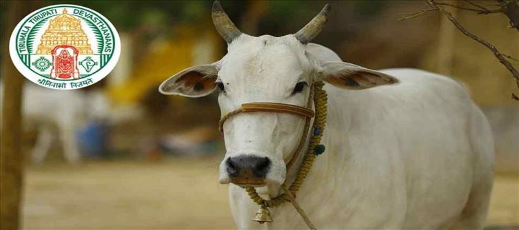ప్రకృతి వ్యవసాయానికి టీటీడీ అండ!